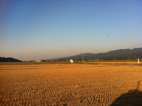 小千谷秋の風景